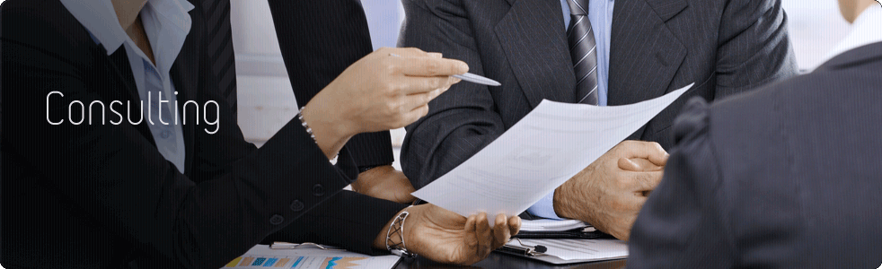 Consulting